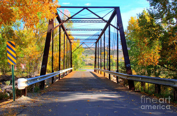 Colorado Poster featuring the photograph Black Bridge by Bob Hislop