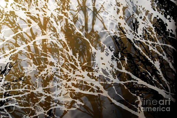 Abstract Poster featuring the photograph Forest Abstracts - Black Tan Cream 2 of 10 by Jacqueline M Lewis
