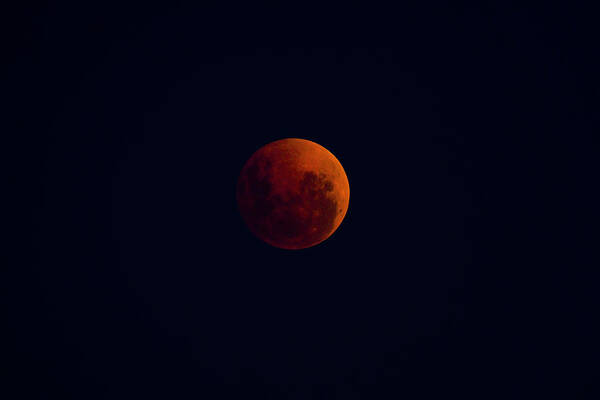 Moon Poster featuring the photograph Bloodmoon 15.04.2014 by Anthony Davey