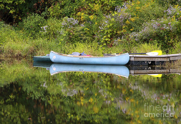 Pond Poster featuring the photograph Blue Canoe by Deborah Benoit