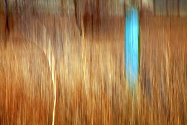 Outdoors Poster featuring the photograph Blue Fencepost by Theresa Tahara