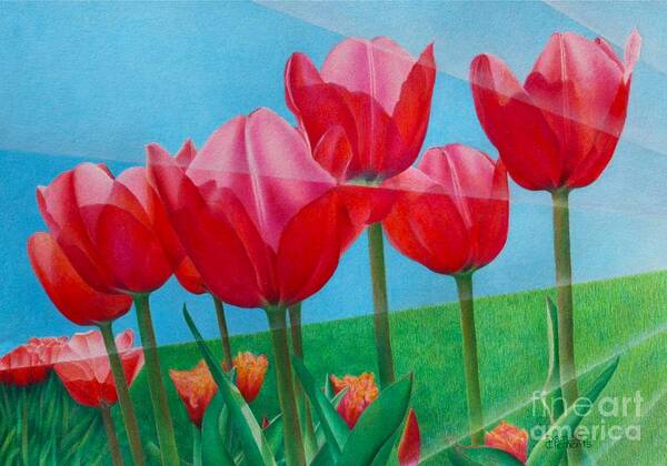 Tulips Poster featuring the painting Blue Ray Tulips by Pamela Clements