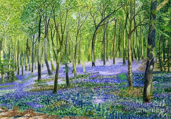 English Bluebell Flower Fairy Picture Painting Poster featuring the painting English Bluebell Flower Fairy Picture by Edward McNaught-Davis