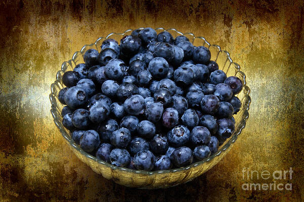 Blueberries Poster featuring the photograph Blueberry Elegance by Andee Design