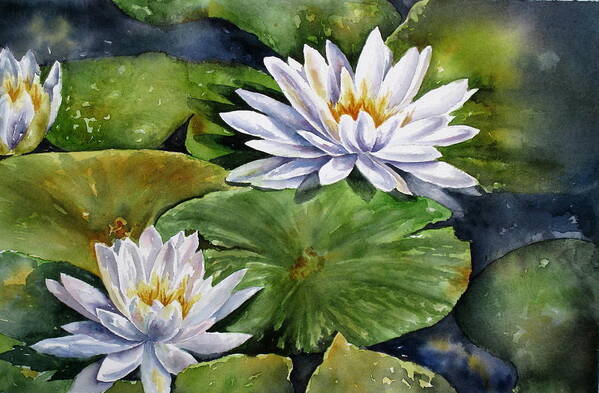 Water Lilies Poster featuring the painting Boardwalk Lilies by Mary McCullah