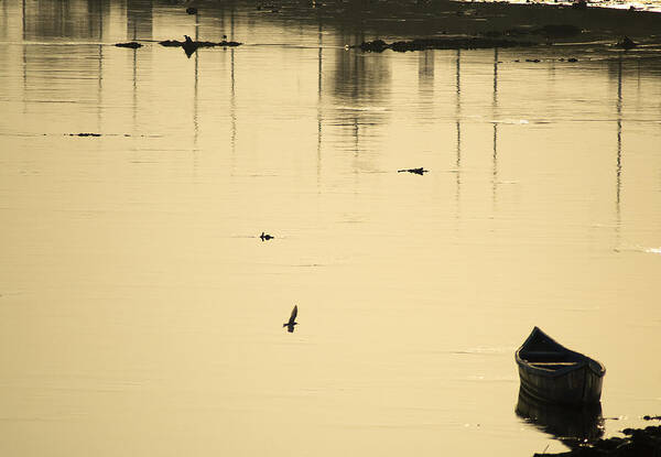 Boats Poster featuring the photograph Boat In The Water by Rajiv Chopra