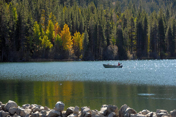 Fall Poster featuring the photograph Boating on Gull Lake by Lynn Bauer