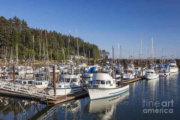 Charleston Marina Poster featuring the photograph Boats Moored At Charleston Marina by Bryan Mullennix