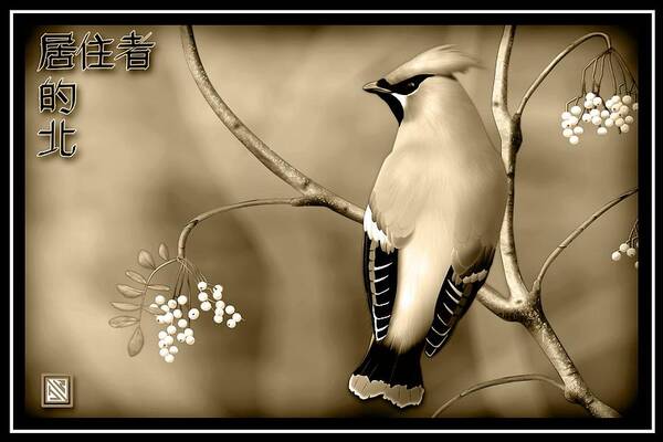 Bohemian Waxwing Bird Art Poster featuring the digital art Bohemian Waxwing in sepia by John Wills