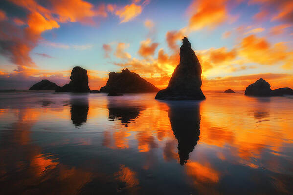 Sunset Poster featuring the photograph Boldly Bandon by Darren White