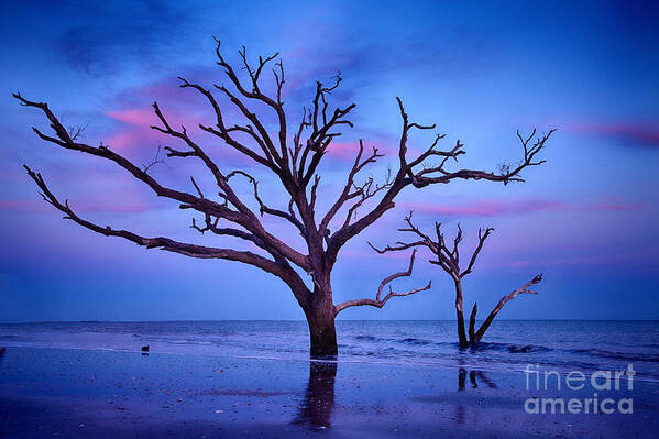 Botany Bay Poster featuring the photograph Botany Bay Sunset 2 by Carrie Cranwill