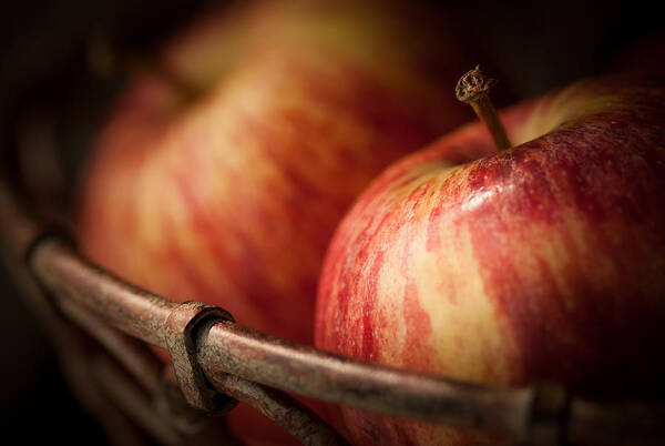 Apple Poster featuring the photograph Bountiful by Amy Weiss