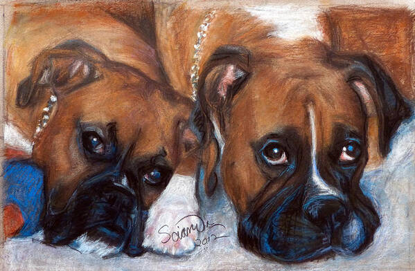 Boxer Dogs Poster featuring the painting Boxer Buddies by Sciandra 