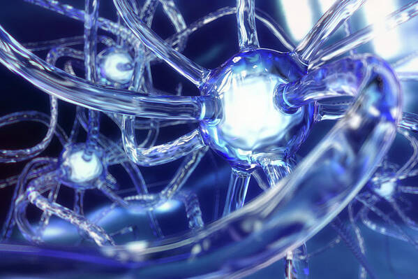 Connection Poster featuring the digital art Brain Neurons Made Of Glass by Maciej Frolow