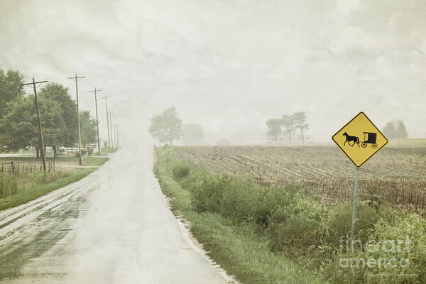 Rural Poster featuring the photograph Brake for Buggies by Diane Enright