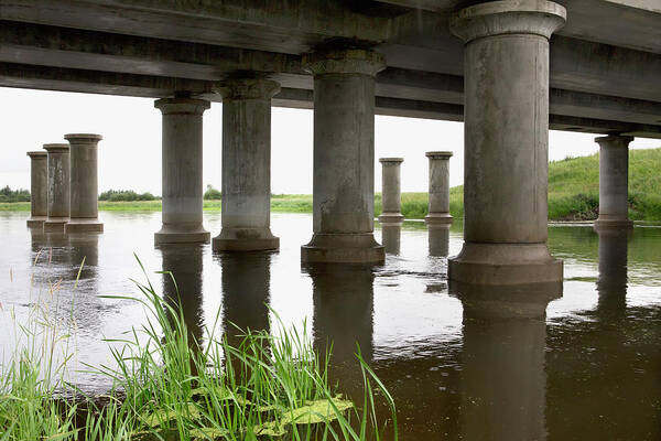 Grass Poster featuring the photograph Bridge Pillars Showing Healthy Green by Richard Wear / Design Pics