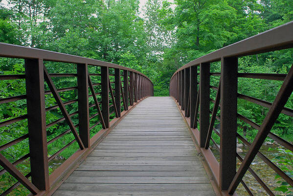 Landscape Poster featuring the photograph Bridging the Gap by Lisa Phillips