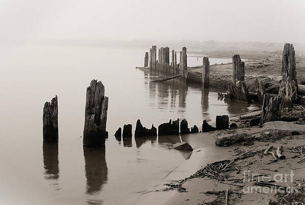 Waterscape Poster featuring the photograph Broken by Brett Maniscalco