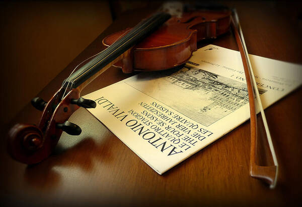 Violin Poster featuring the photograph Broken String by Lucinda Walter
