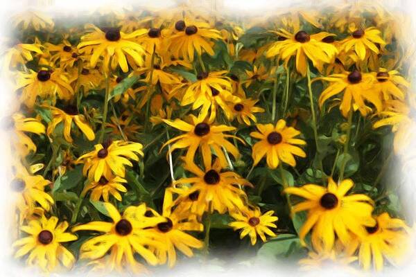 Flowers Poster featuring the photograph Brown Eyed Susans by Monroe Payne