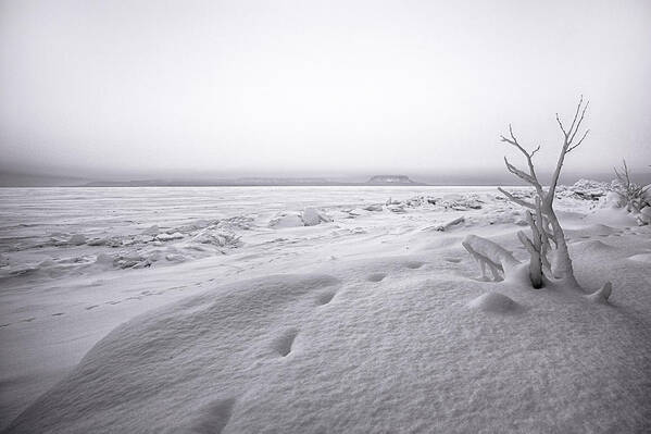 Aboriginal Poster featuring the photograph Brule Bay Lake Superior by Jakub Sisak