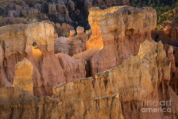 Bryce Canyon Detail Poster featuring the photograph Bryce Canyon 1 by David Waldrop