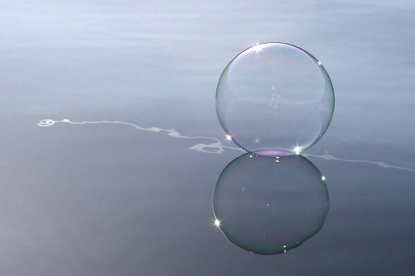 Line Poster featuring the photograph Bubble On The Line by Cathie Douglas