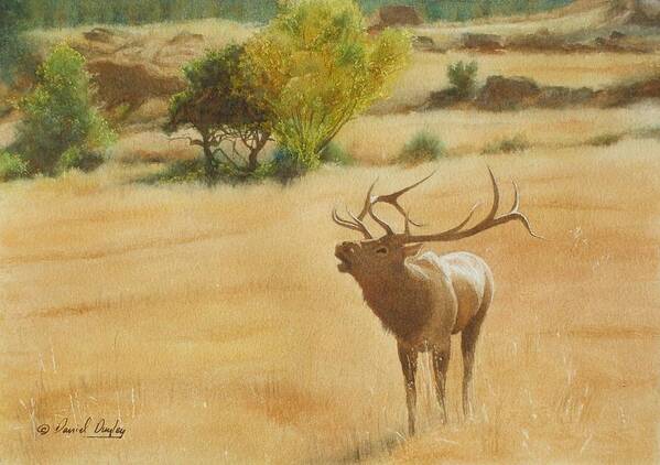 Wild Life Poster featuring the painting Bull Elk at Moraine Park by Daniel Dayley