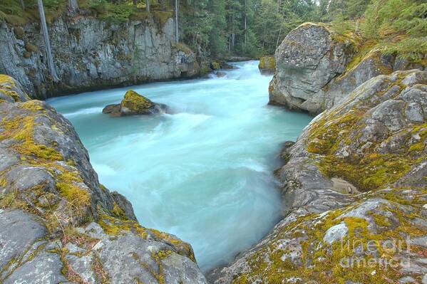 Cheakamus River Poster featuring the photograph Canadian Glacier Fed River by Adam Jewell