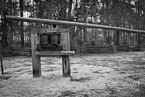 Cane Grinder Poster featuring the photograph Cane Grinder by Southern Photo