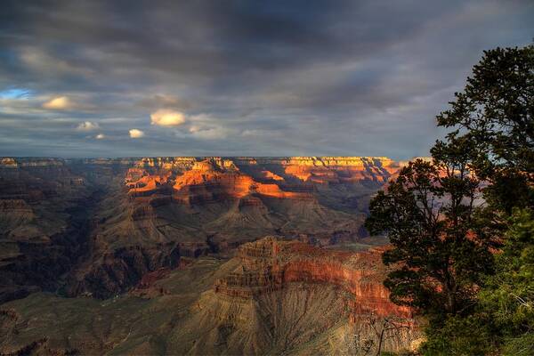 Grand Canyon Poster featuring the photograph Canyon Sunset by Dave Files