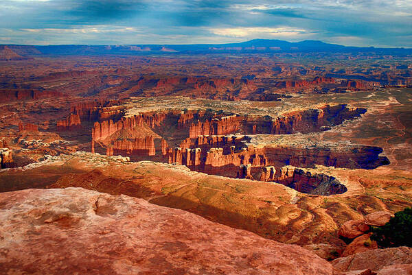 Canyonlands Poster featuring the photograph Canyonland Beauty by Tricia Marchlik