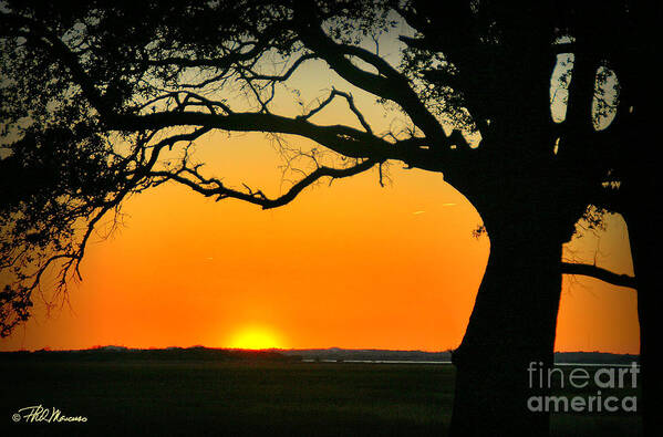Cape Fear Digital Art Poster featuring the photograph Cape Fear Sunset 2 by Phil Mancuso