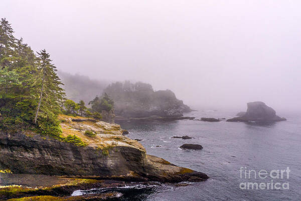 2013 Poster featuring the photograph Cape Flattery by Carrie Cole