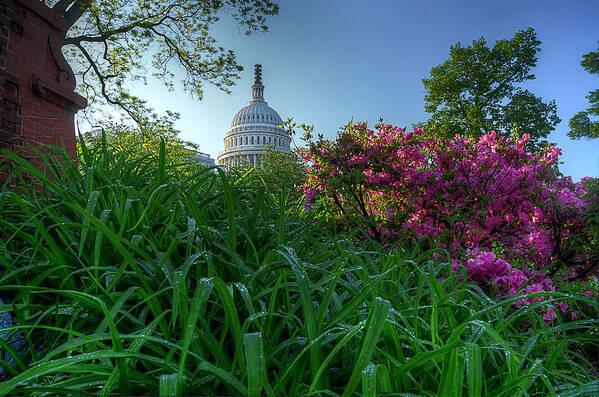Capitol Poster featuring the photograph Capitol Dome by Michael Donahue