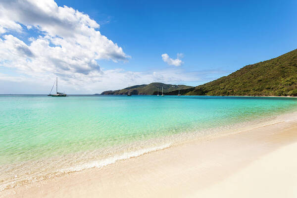 Tropical Tree Poster featuring the photograph Caribbean Beach by Guvendemir