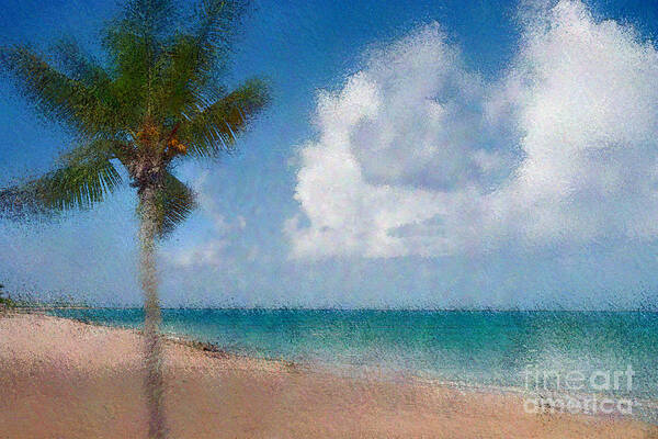 Photograph Poster featuring the photograph Caribbean Dreams by Betty LaRue