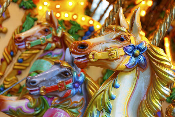 Carousel Poster featuring the photograph Carousel horses by Dutourdumonde Photography