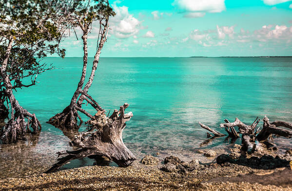 Caribbean Waterscapes Poster featuring the photograph Caribbean Living by Karen Wiles