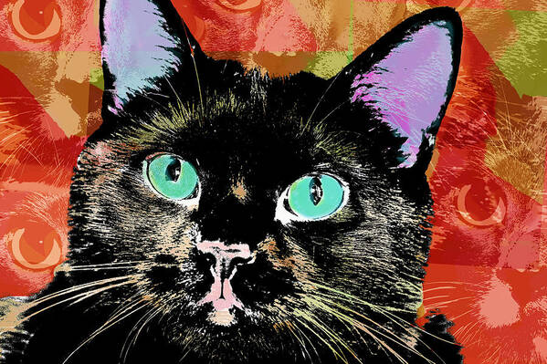 Cat Art Poster featuring the photograph Cat Eyes by Susan Stone