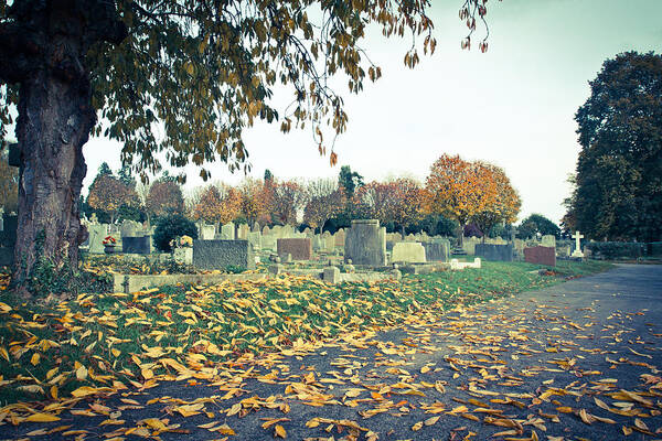 Autumn Poster featuring the photograph Cemetery in autumn by Tom Gowanlock
