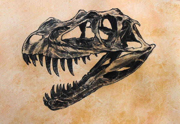 Dinosaur Poster featuring the painting Ceratosaurus skull by Harm Plat