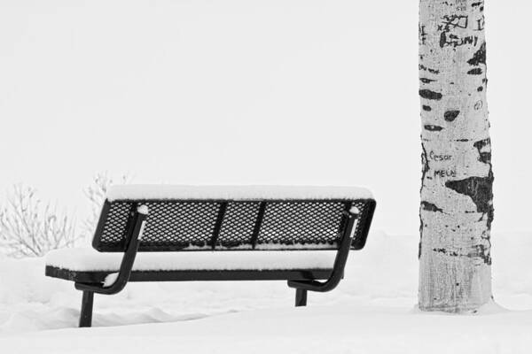 Snow Poster featuring the photograph Cesar Melai Love in The Snow BW by James BO Insogna