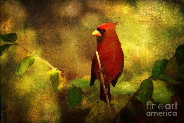 Cardinal Poster featuring the digital art Cheery Red Cardinal by Lianne Schneider