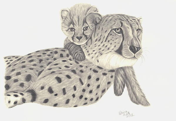 Mother And Baby Poster featuring the drawing Cheetah and her cub 1 by Patricia Hiltz