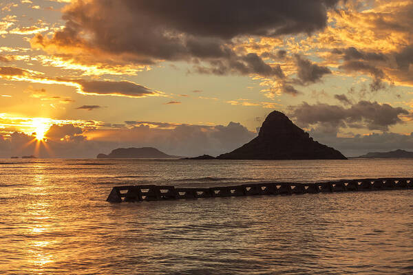 Aqua Poster featuring the photograph Chinaman's Hat 5 by Leigh Anne Meeks