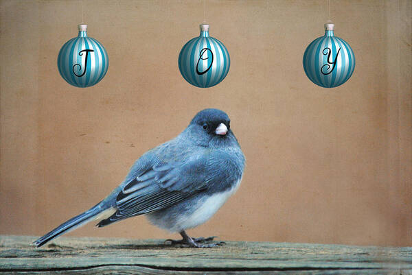 Blue Bird Poster featuring the digital art Christmas Joy by Linda Segerson