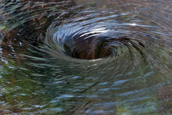 Water Poster featuring the photograph Circling by Wendy Wilton