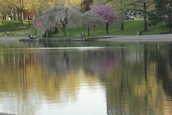 Landscape Poster featuring the photograph Wade Park Cleveland Ohio Springtime by Valerie Collins