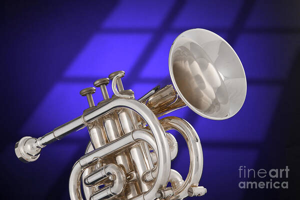 Cornet Poster featuring the photograph Classic Cornet by M K Miller
